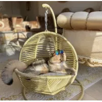 Pletena košara za mačke in majhne pse, za ljuljanje, siva