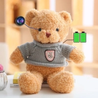 Wi-Fi Hidden Camera in Teddy Bear Toy, 128 GB SD