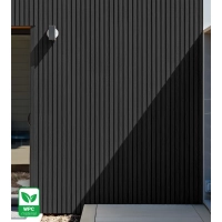 WPC fasadni panel, 219x2900 mm, CRNA RAVNA TEKSTURA (0,63 m²)