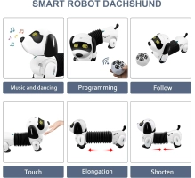 Robot dog DOGGY, dachshund, kid toy, remote control + following
