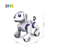 Robot dog CHARLIE, smart kid toy, remote control