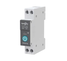 WI-FI Smart Circuit Breaker with measurement 1P 10-63A, DIN rail for smart home