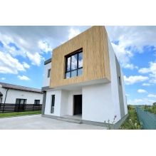 Fasadni panel, imitacija drveta, SIBIRSKI ARIŠ, 120x50x2 cm, stiropor (0,60 m²)