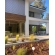 WPC fasadni panel PREMIUM, STARINSKI HRAST, 2900 mm (0,64 m²)