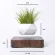 Floating levitation planter, Bonsai, walnut base