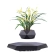 Black floating levitation planter, Bonsai, 360°