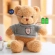 Wi-Fi Hidden Camera in Teddy Bear Toy, 128 GB SD