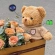 Wi-Fi Hidden Camera in Teddy Bear Toy, 128 GB SD