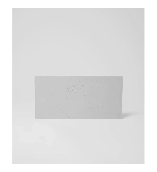 2D betonski panel za steno, zunajni, 100 x 50 cm [CLONE]