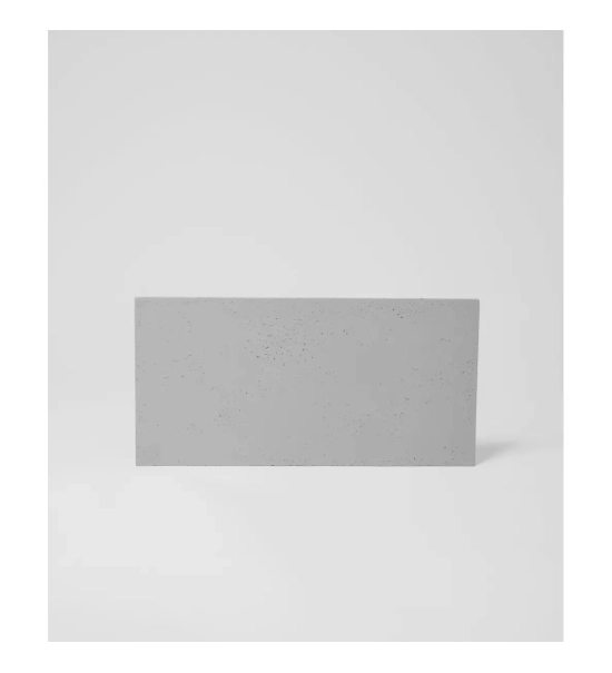 2D dekorativni betonski panel za steno, zunajni, 100 x 50 cm