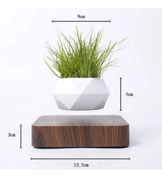 Floating levitation planter, Bonsai, walnut base