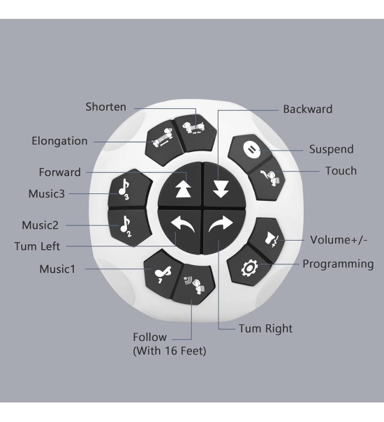 Robotski pas DOGGY, igračka za djecu, jazavčar, daljinski upravljač + praćenje