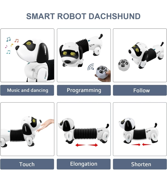 Robotski pas DOGGY, igračka za djecu, jazavčar, daljinski upravljač + praćenje