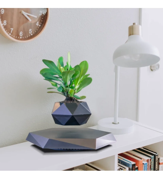 Black floating levitation planter, Bonsai, 360°