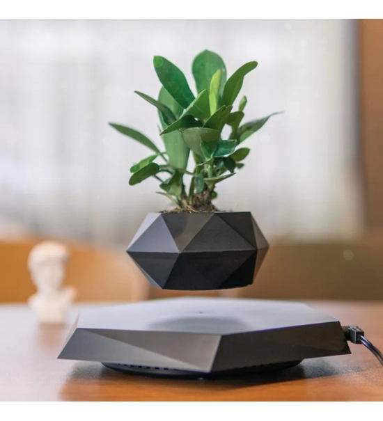 Black floating levitation planter, Bonsai, 360°