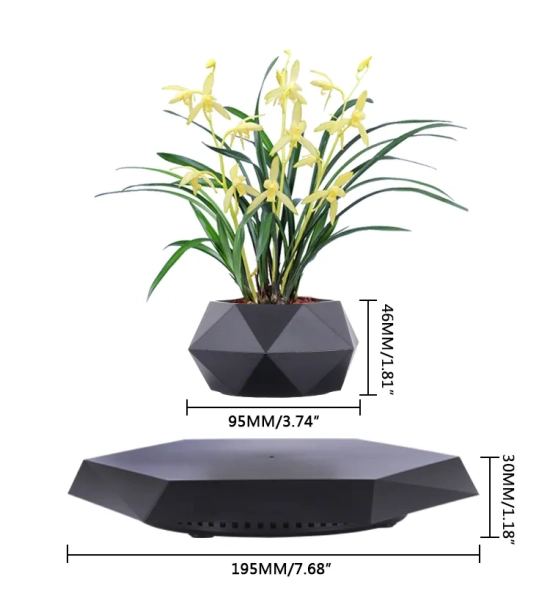 Black floating levitation planter, Bonsai, 360°