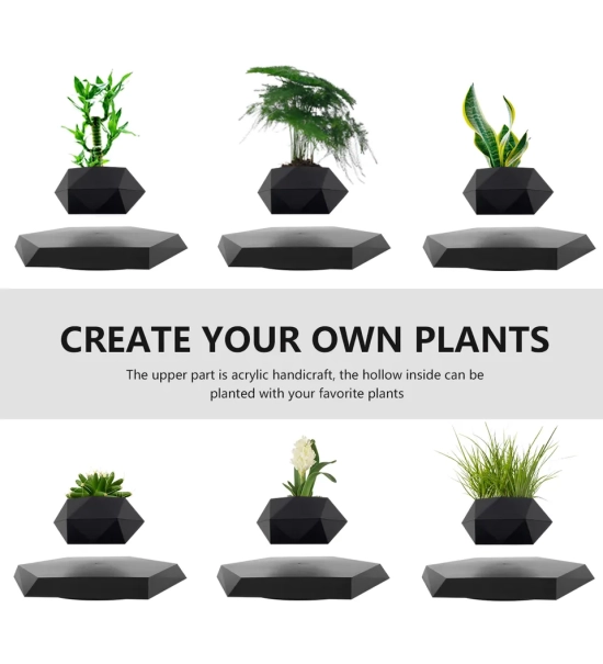 Black floating levitation planter, Bonsai, 360°