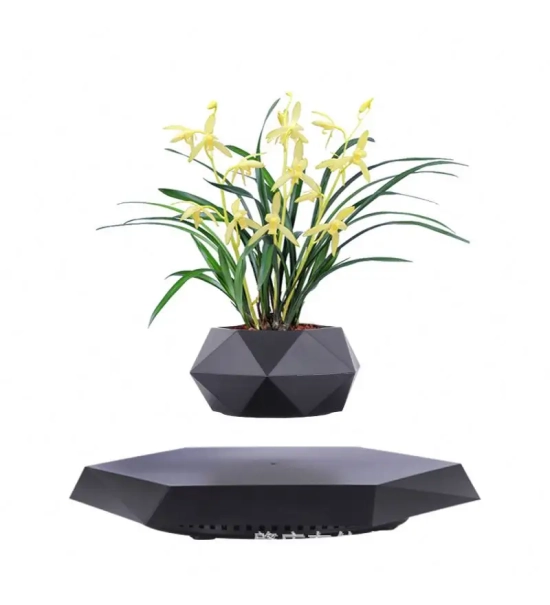 Black floating levitation planter, Bonsai, 360°