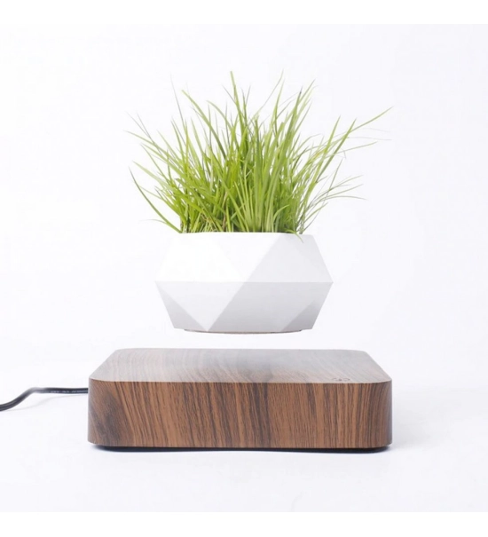 Floating levitation planter, Bonsai, walnut base