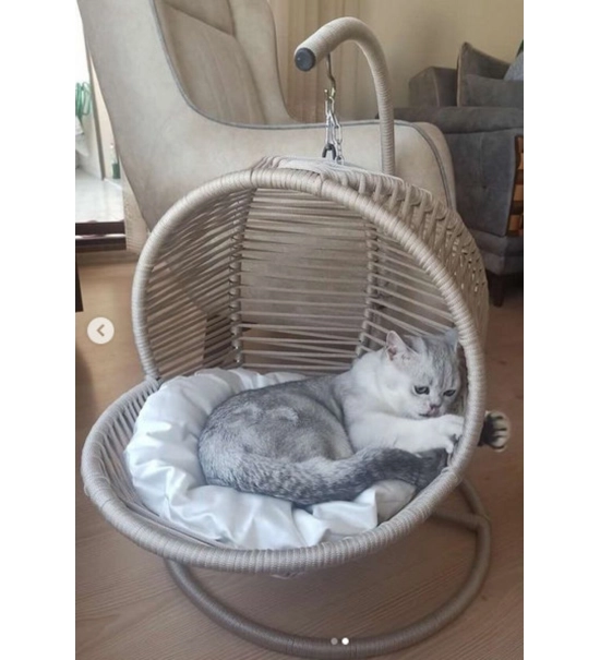 Pletena košara za mačke in majhne pse, za ljuljanje, bež