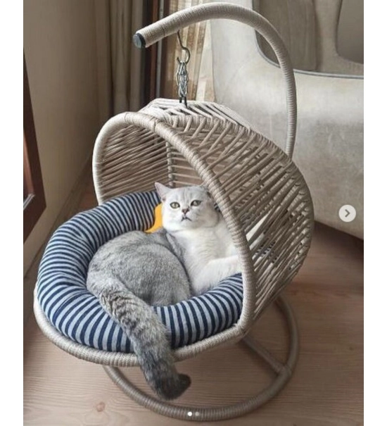 Pletena košara za mačke in majhne pse, za ljuljanje, bež